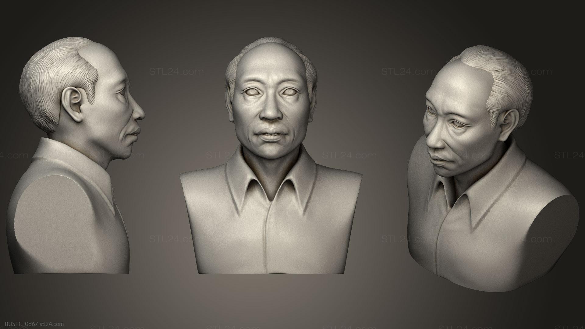 Бюсты и барельефы известных личностей (Туонг, BUSTC_0867) 3D модель для ЧПУ станка